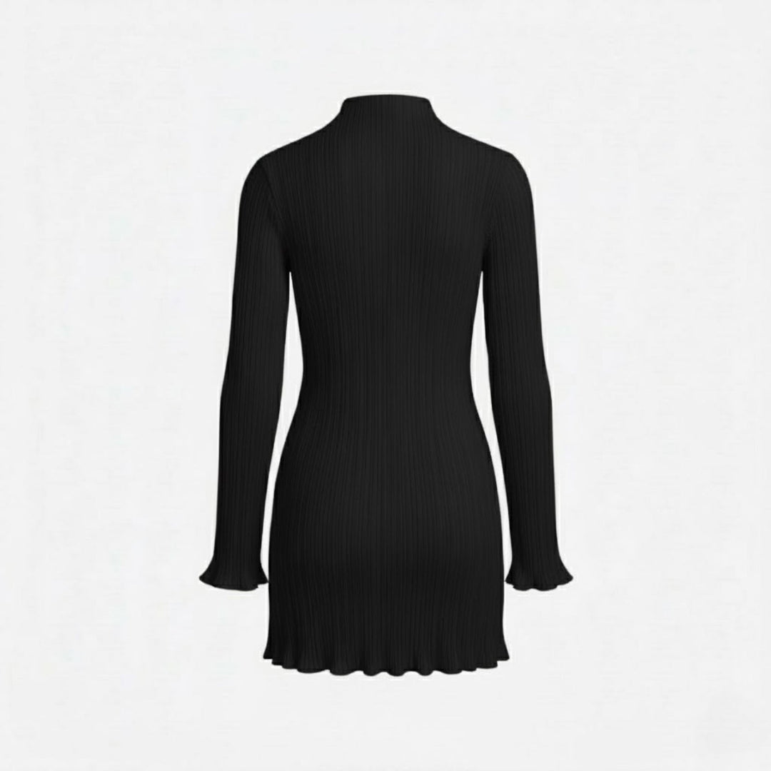 Women’s Ribbed Knit Dress with High Neck and Long Sleeves