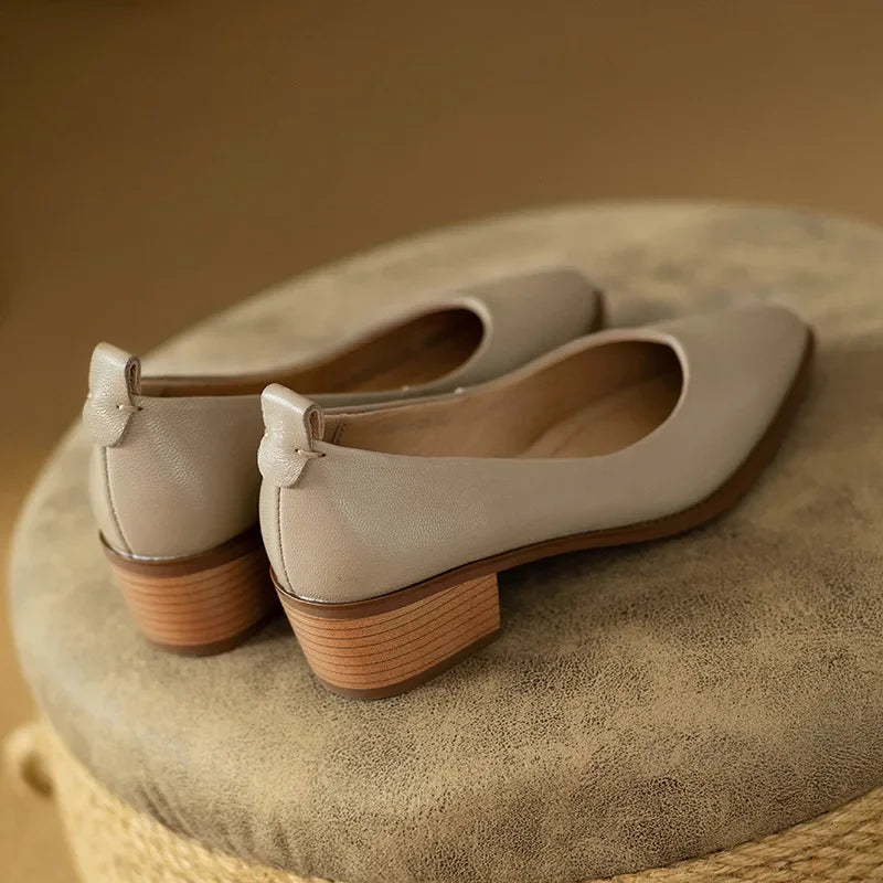 Women’s Pumps with Pointed Toe and Block Heel