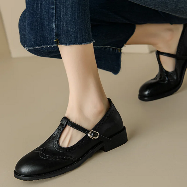 Women’s T-Strap Mary Jane Shoes with Low Block Heel and Buckle Closure