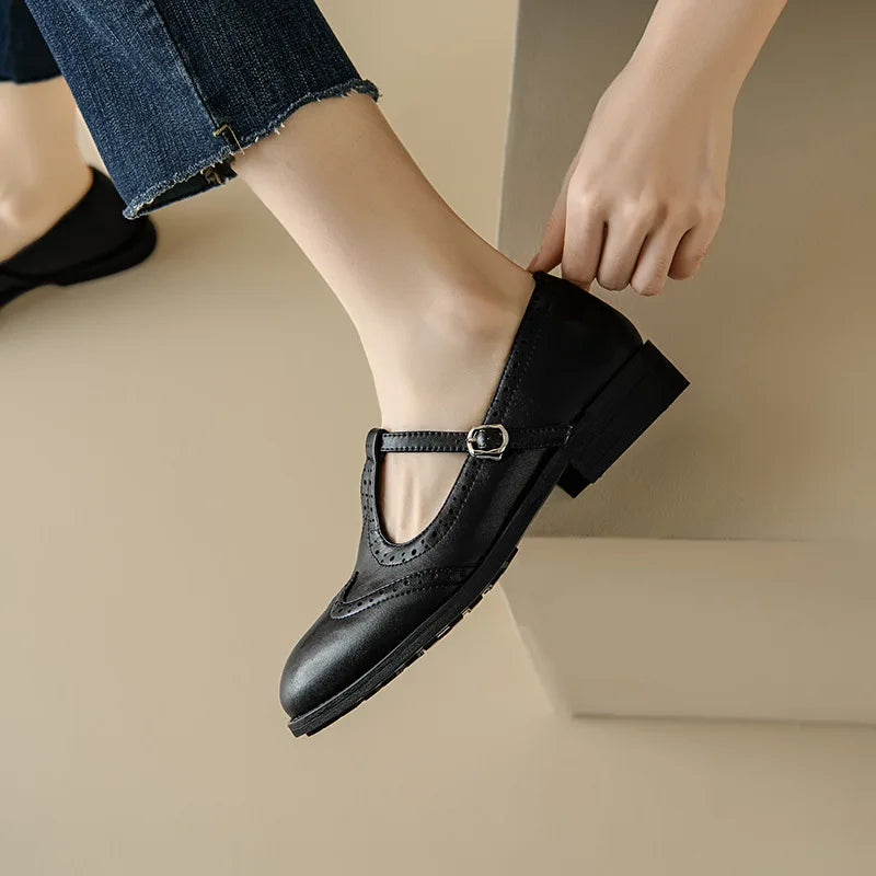 Women’s T-Strap Mary Jane Shoes with Low Block Heel and Buckle Closure