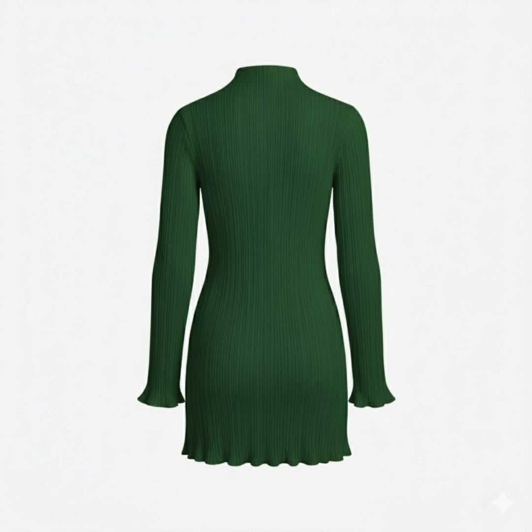 Women’s Ribbed Knit Dress with High Neck and Long Sleeves