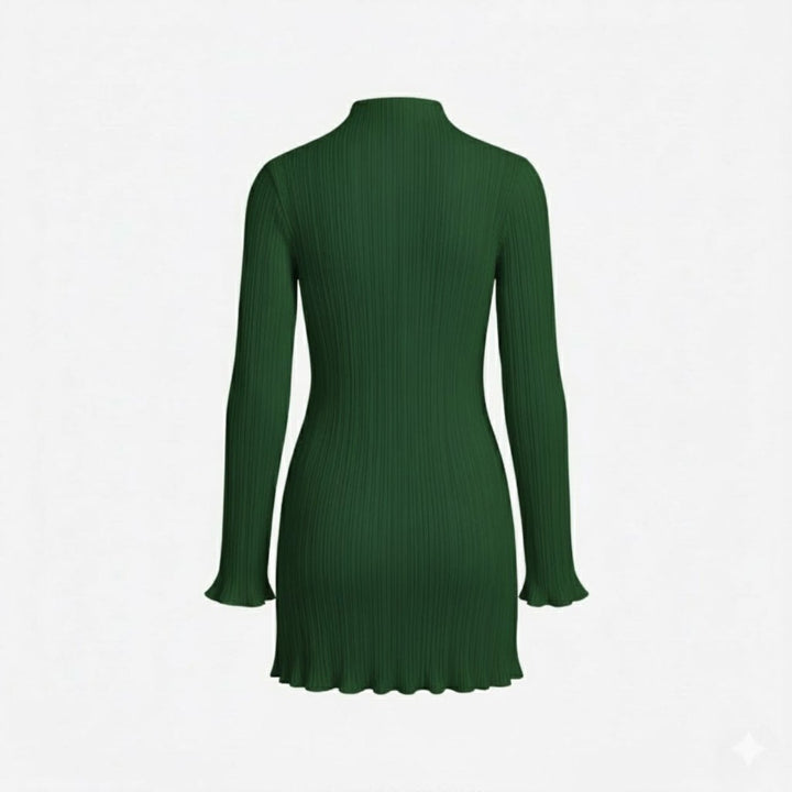 Women’s Ribbed Knit Dress with High Neck and Long Sleeves