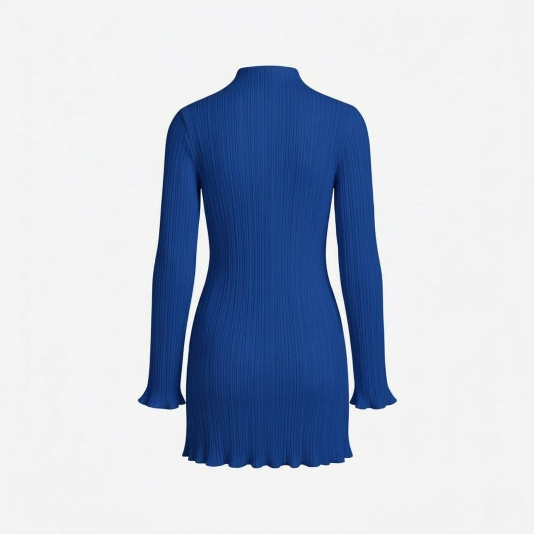 Women’s Ribbed Knit Dress with High Neck and Long Sleeves