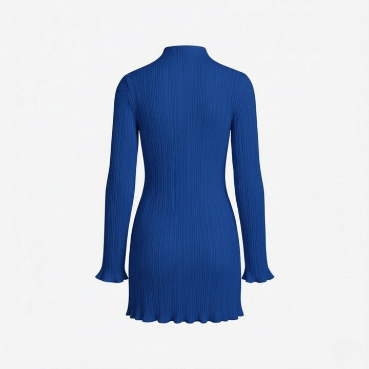 Women’s Ribbed Knit Dress with High Neck and Long Sleeves