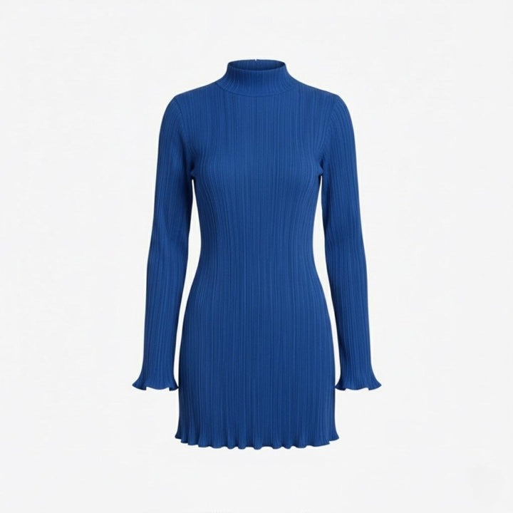 Women’s Ribbed Knit Dress with High Neck and Long Sleeves