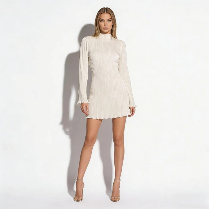 Women’s Ribbed Knit Dress with High Neck and Long Sleeves